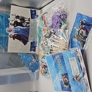 Frozen party decor set with large background, balloons,invitations,